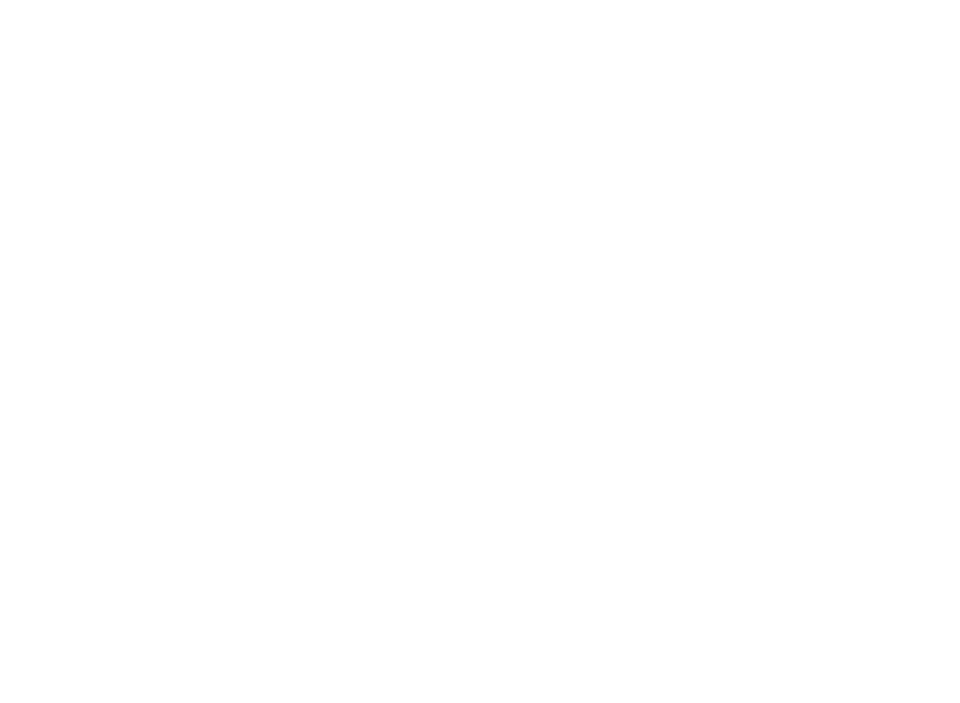 ANT YAPI